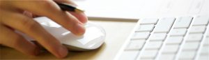 online test software